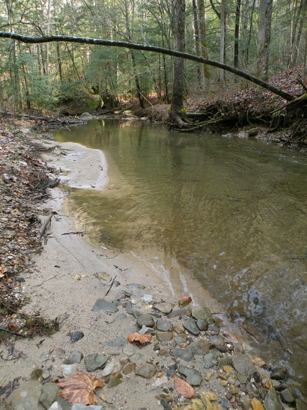 Chimney Top Creek - Koomer Ridge Trail - 3.jpg